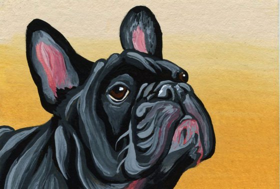 ACEO ATC Original Miniature Painting Black French Bulldog Pet Dog Art-Carla Smale