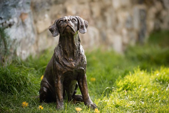 Sitting Puggle FB