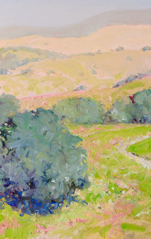 Summer. California Mountains by Suren Nersisyan