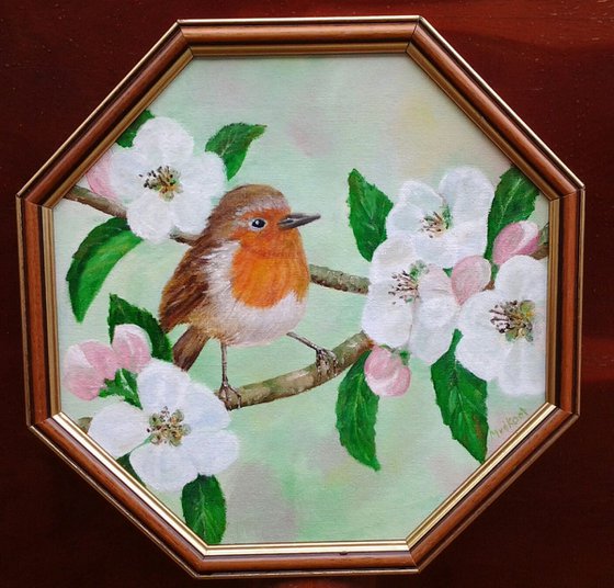 Robin Bird and Apple Blossom