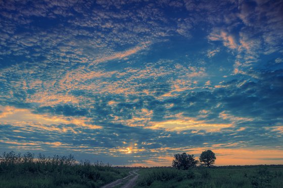 Flying clouds over the setting sun.