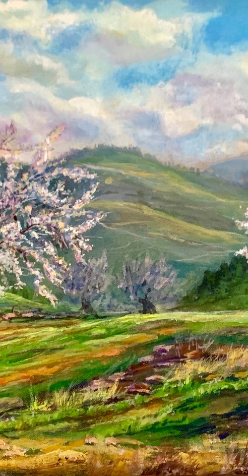 Almond Bloom in Silikou by Olga McNamara BiennaleArtist