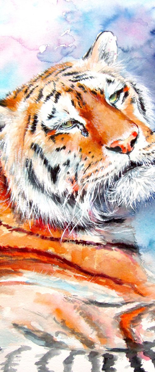 Resting tiger by Kovács Anna Brigitta