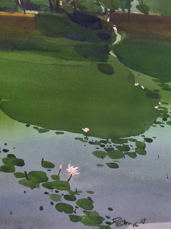 Green grass, lotus pond