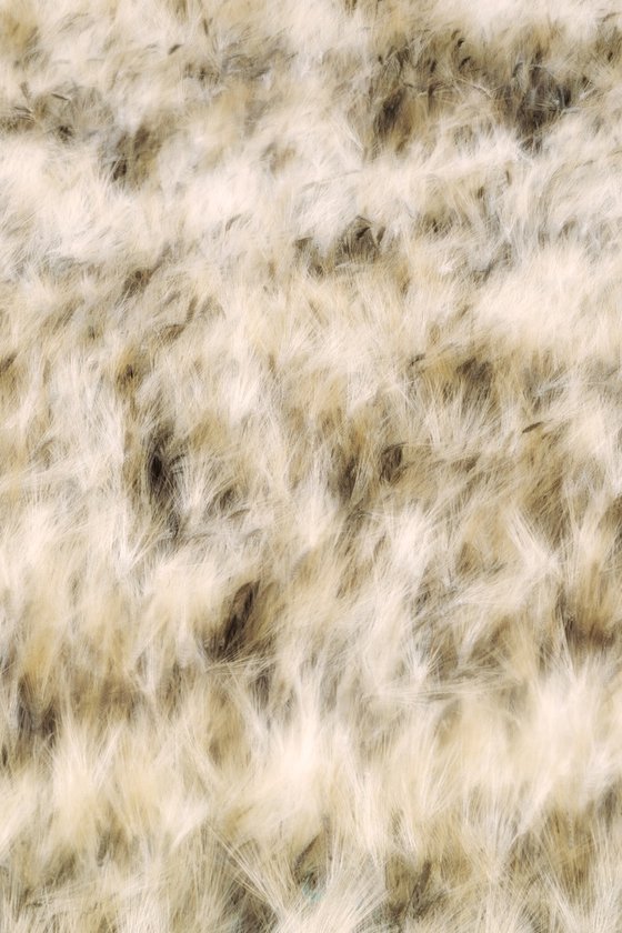Dancing grains (studio 6)