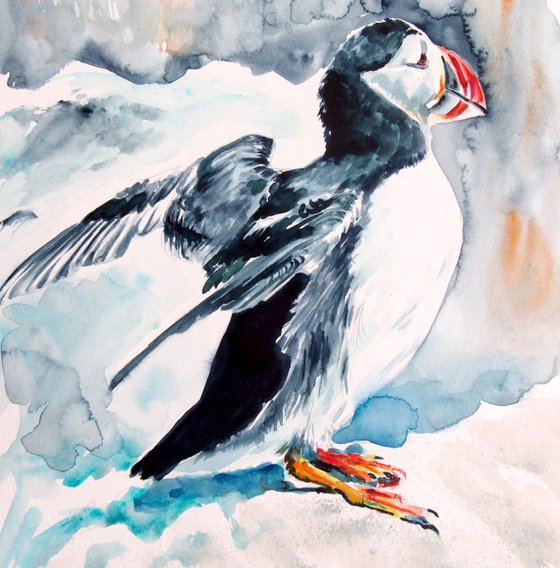 Puffin collection