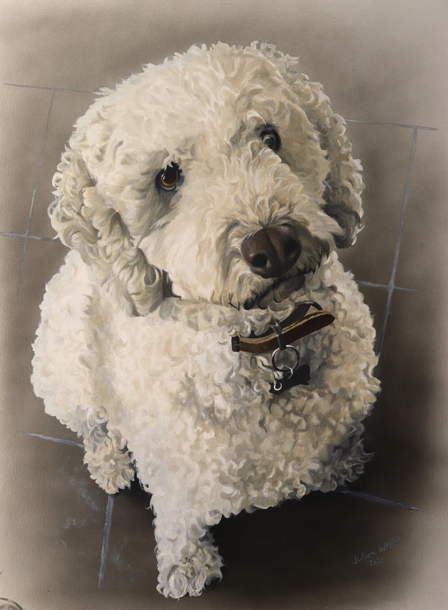 Photorealistic Animal Acrylic Painting By Julian Wheat, 18 X 24", Saba, Original Artwork