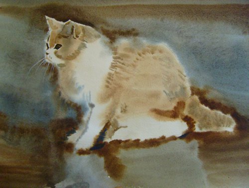 Cat, watercolor painting 30x42 cm by Valentina Kachina