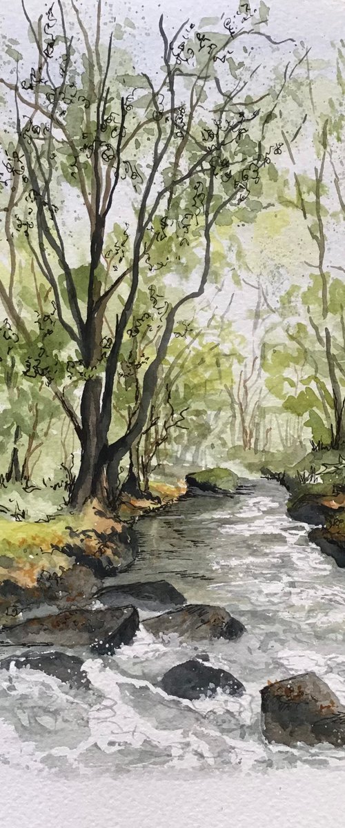 River Fowey at Golitha by Valerie Jobes