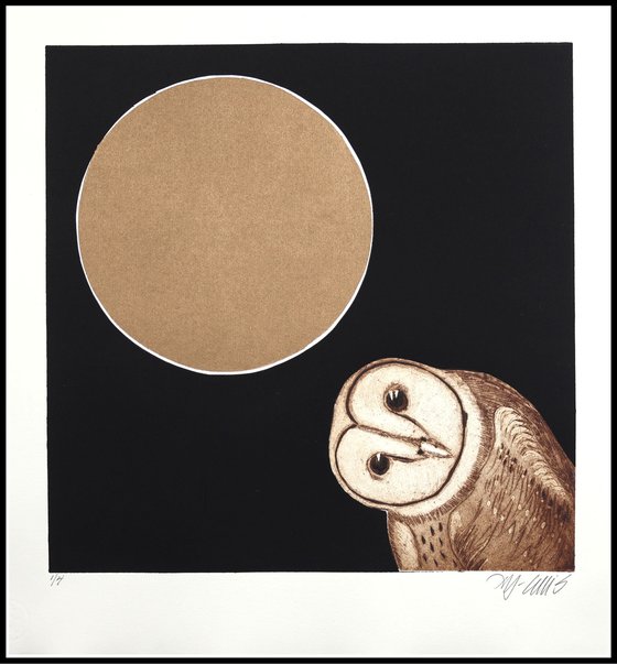 Midnight Owl