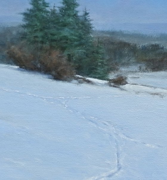 Snowlandscape