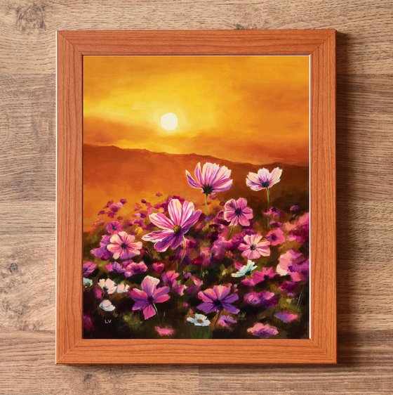 Pink cosmos field at sunset