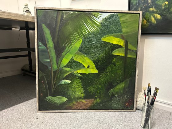 Walk into the Rainforest