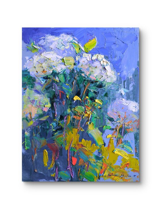 Hydrangea . Blooming garden