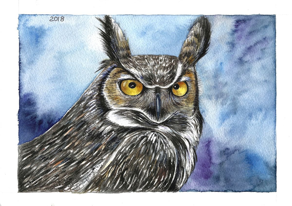 Owl by Tatyana Vasylieva