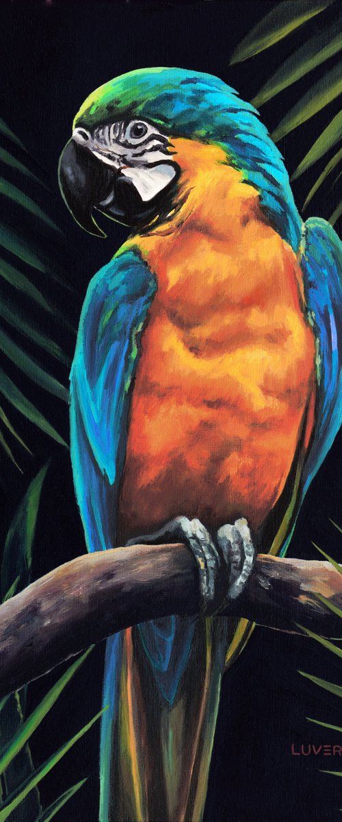 'A dazzling friend' by Lucia Verdejo