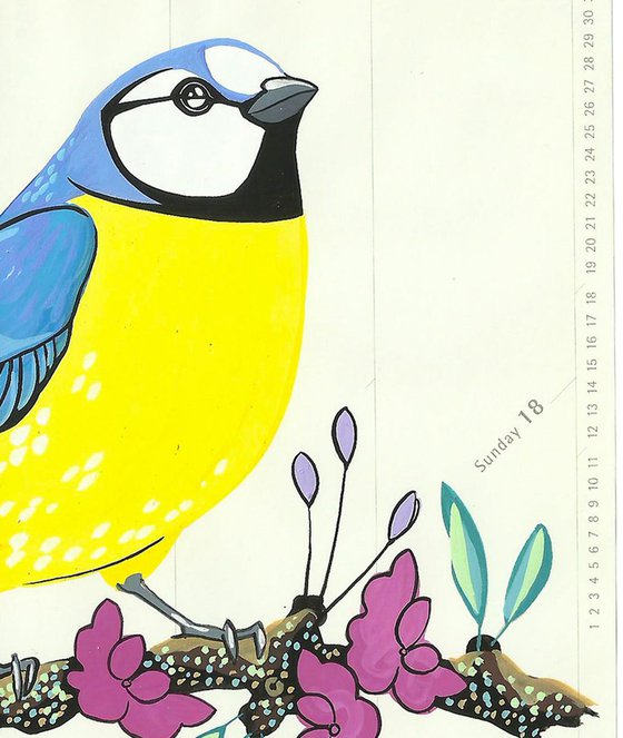 Birds of Europe: Blue Tit