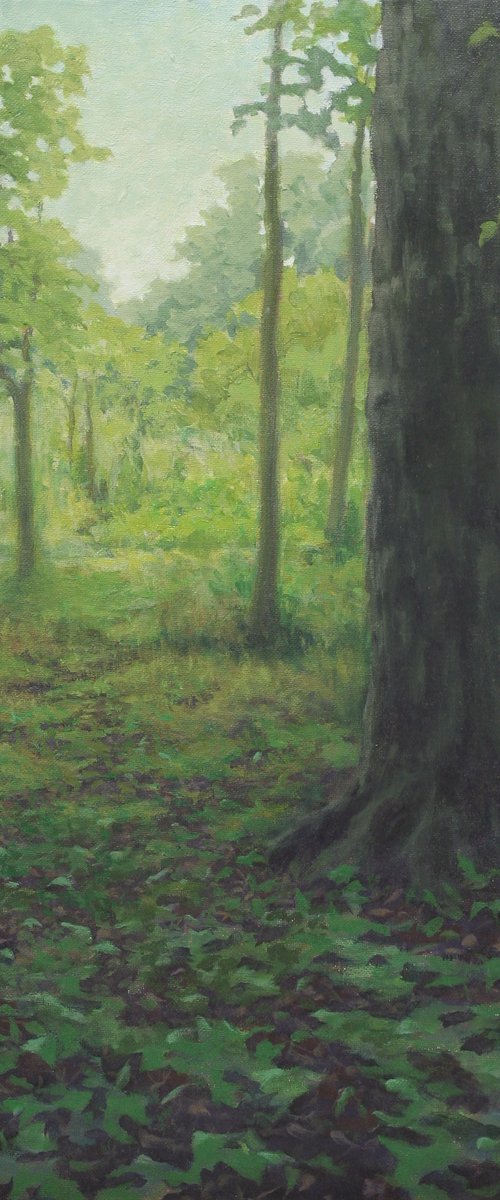 Through the Green Woods by John Fleck