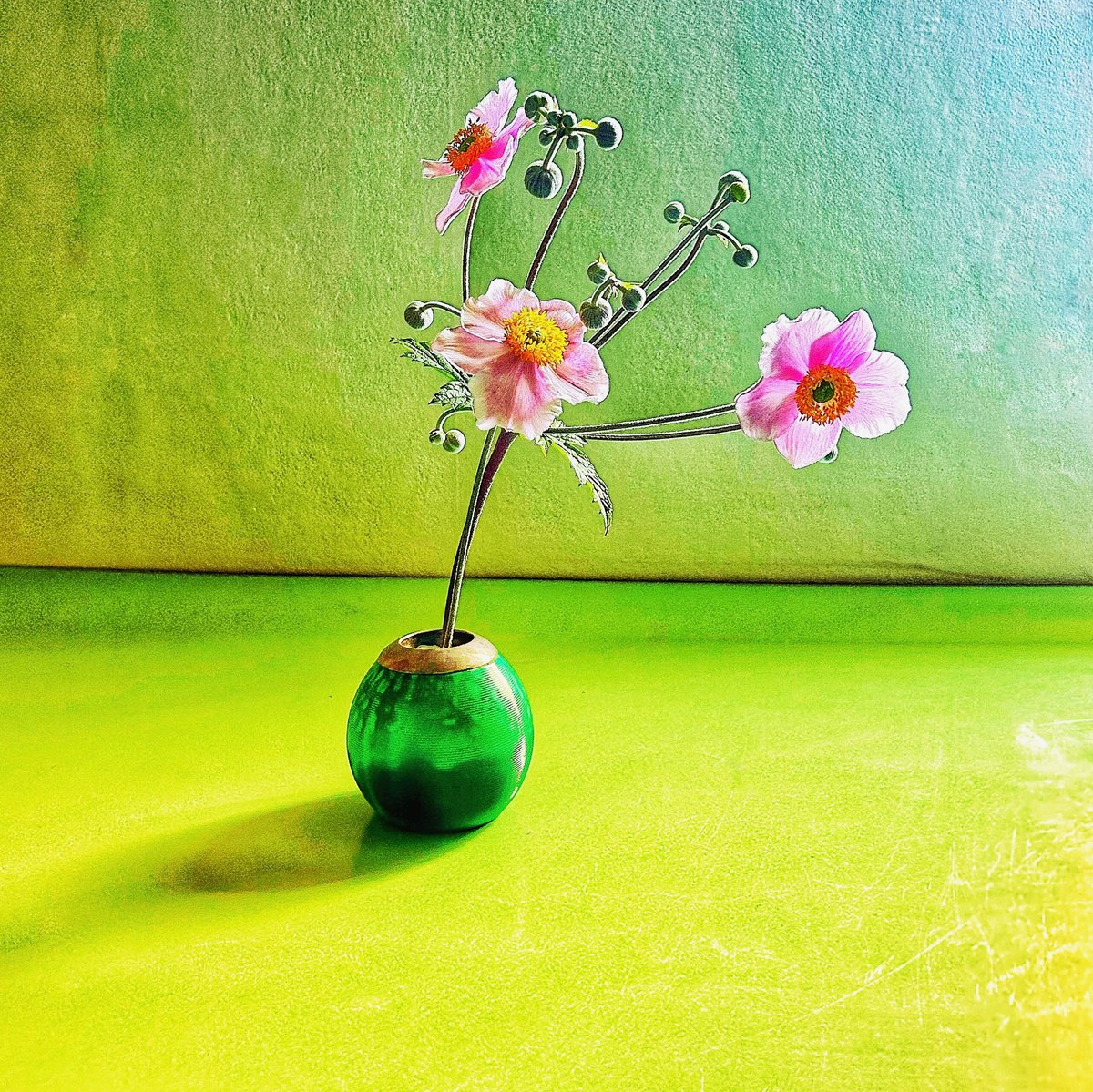 Expressive Botanical Photograph By Sarah Parsons, 8 X 8", Bright Japanese Anemones, Original Artwork