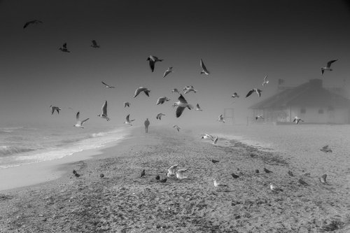 The misty seashore. by Valerix