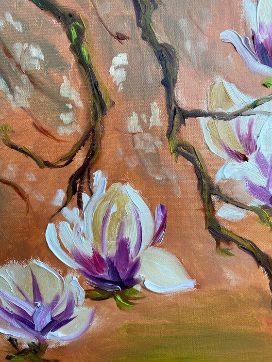 Dutch Magnolia