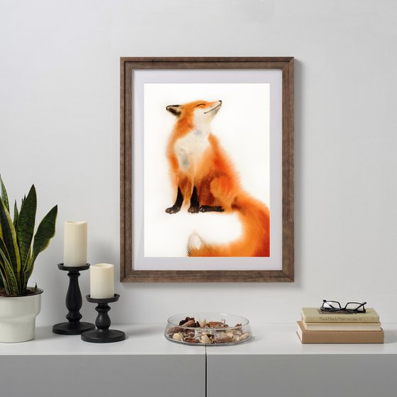 Red Fox - foxy - fox portrait