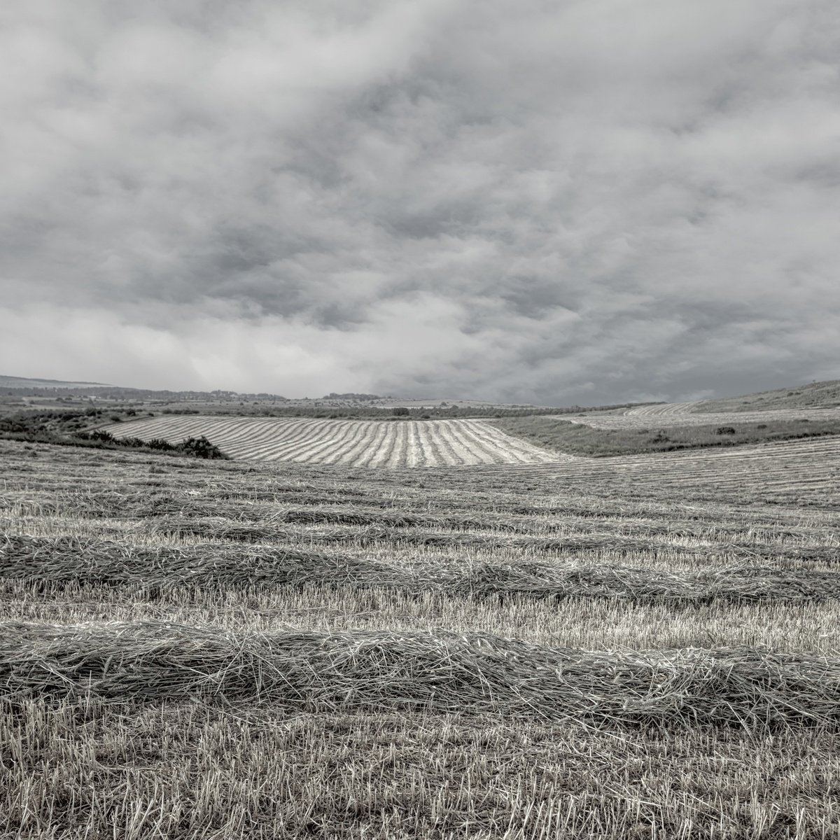 Photorealistic Photograph , Countryside By Lidiya Dmitrieva, 27 X 27, Artwork For Sale On Artfinder
