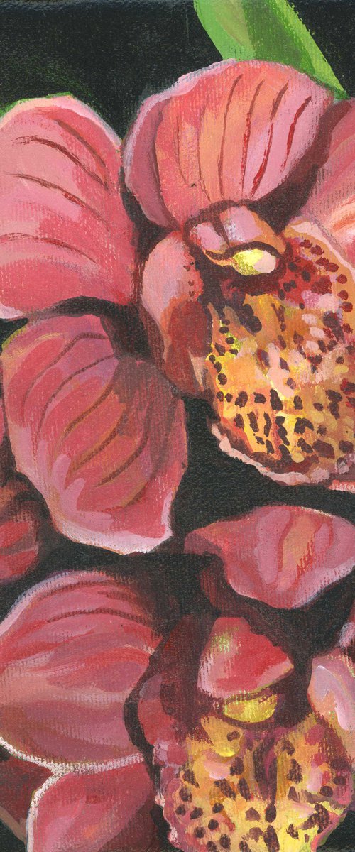 coral orchid acrylic floral by Alfred  Ng