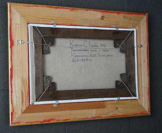 Snow-covered pine trees in Kuzminki Park