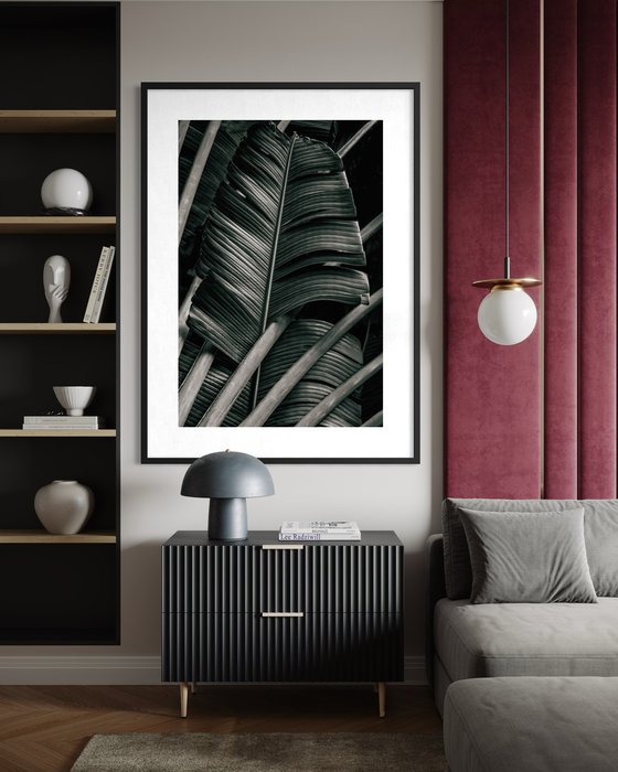 Jungle Fronds