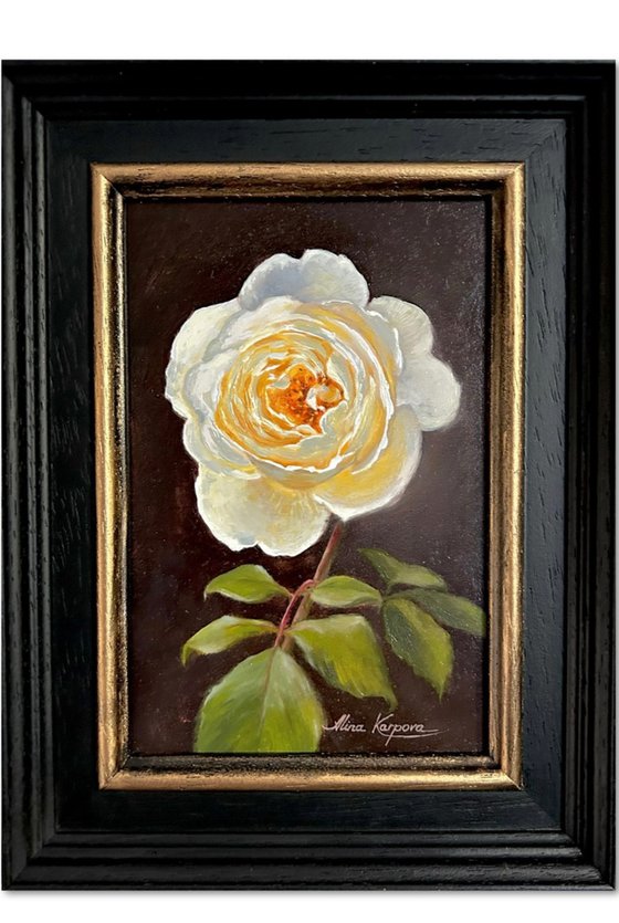 White rose
