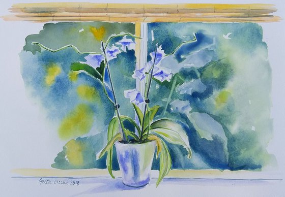 Orchids watercolor gift ideas