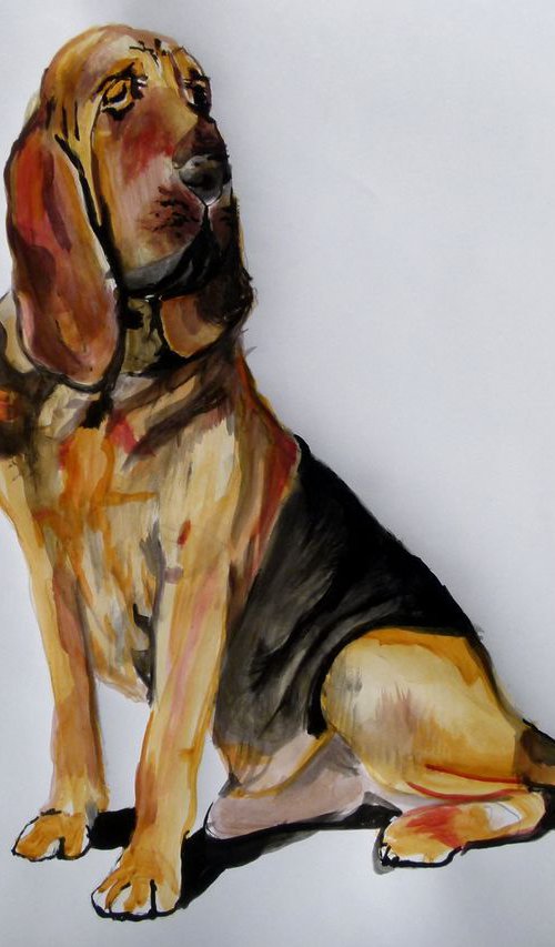Bloodhound dog by Soso Kumsiashvili