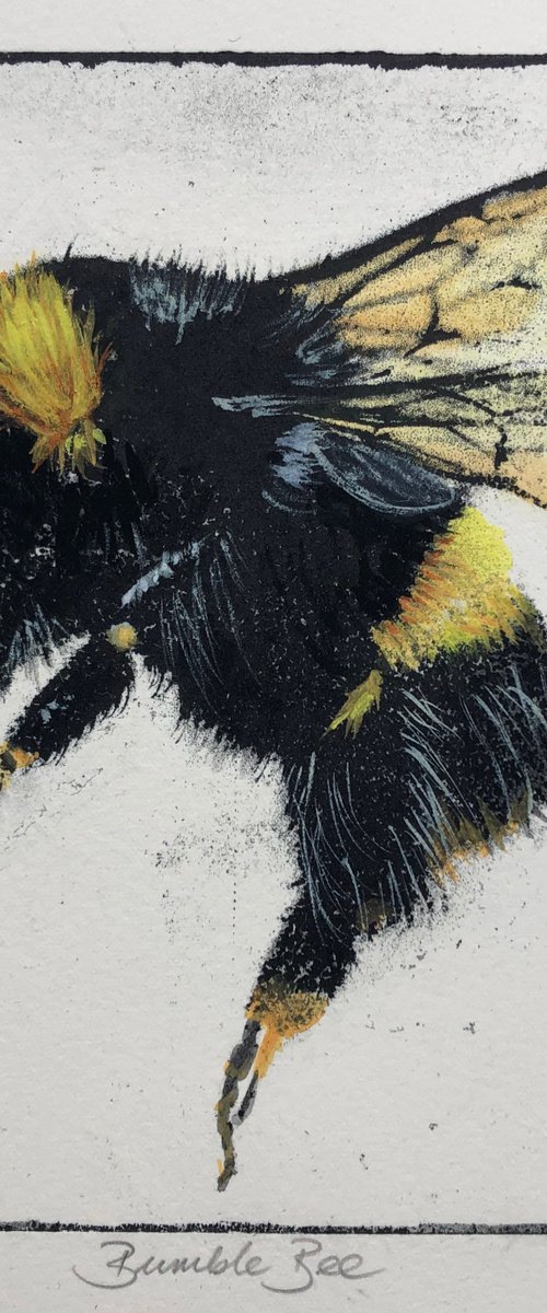 Bumble Bee by Diane McLellan