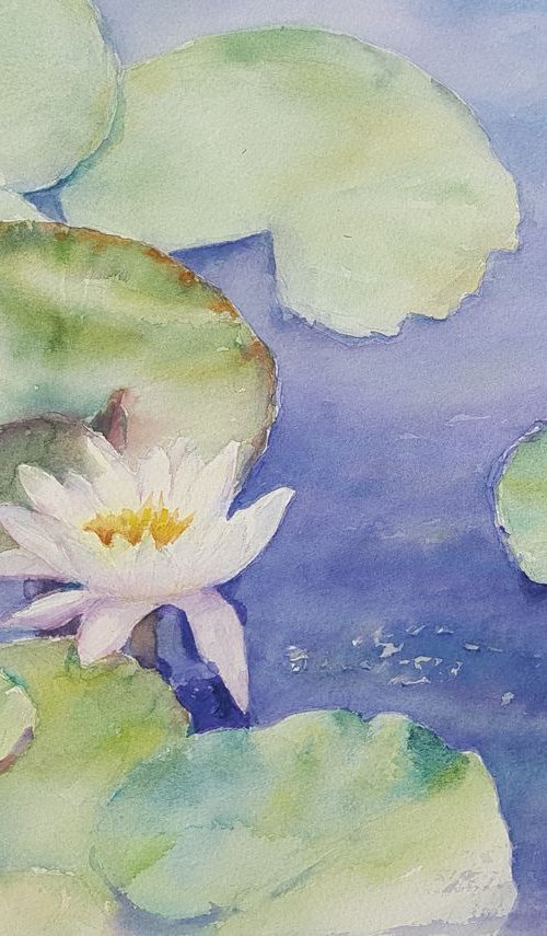 WATER LILY. MY DREAM GARDEN 2018 original watercolor 31X41 by Beata van Wijngaarden