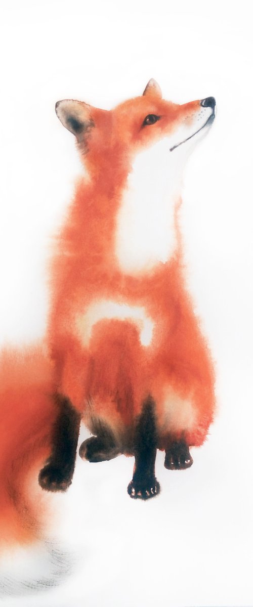 Red Fox II - foxy - fox portra by Olga Beliaeva Watercolour
