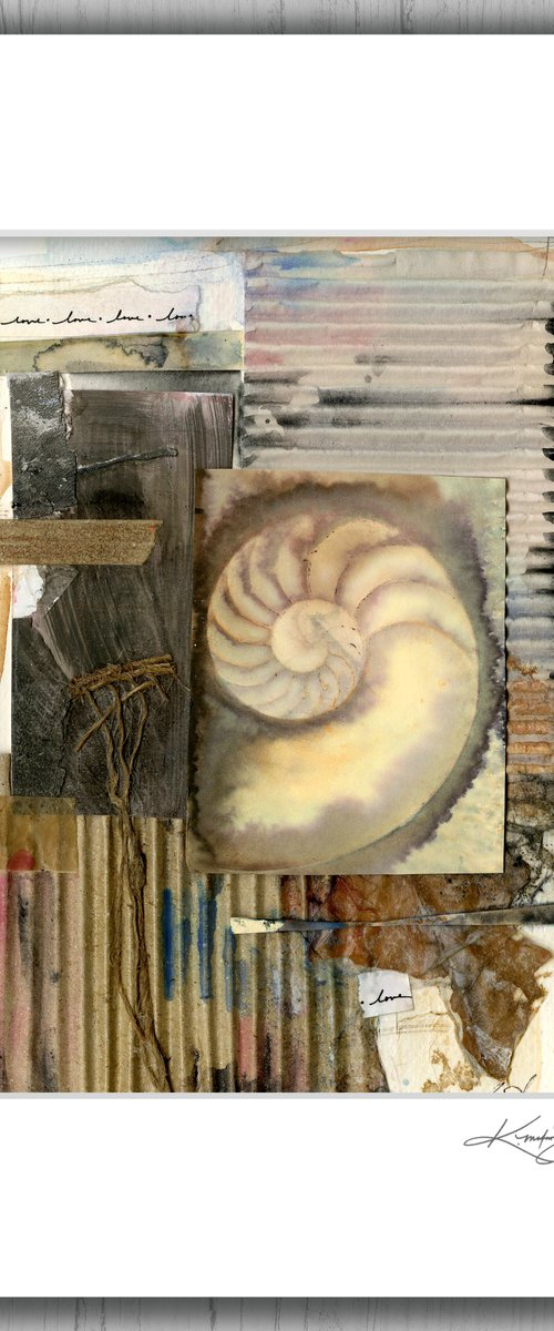 Elemental Tranquility 2 - Nautilus Shell Art by Kathy Morton Stanion by Kathy Morton Stanion