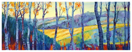 A Sunny Day In The Mountain