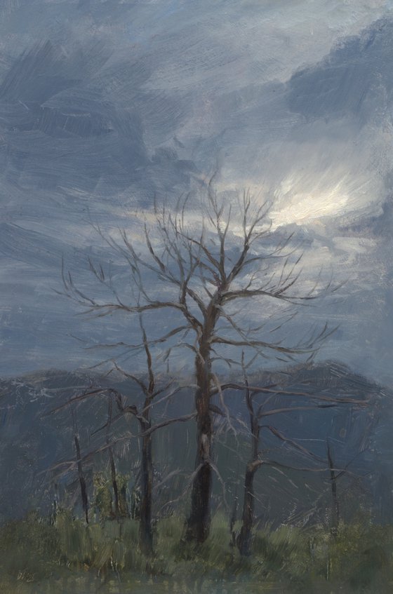 A brewing storm