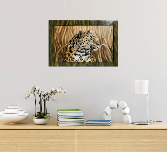 The Silent Watcher: Amur Leopard