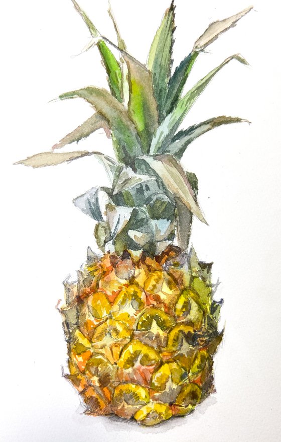 Baby pineapple