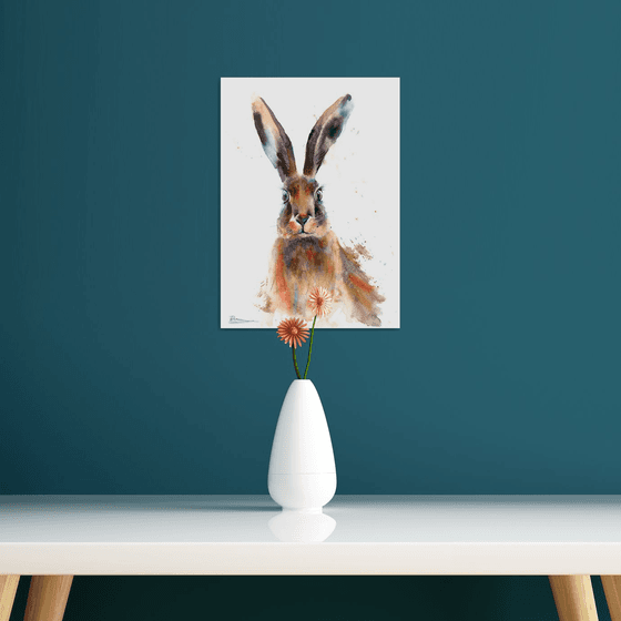 Wild Hare Portrait