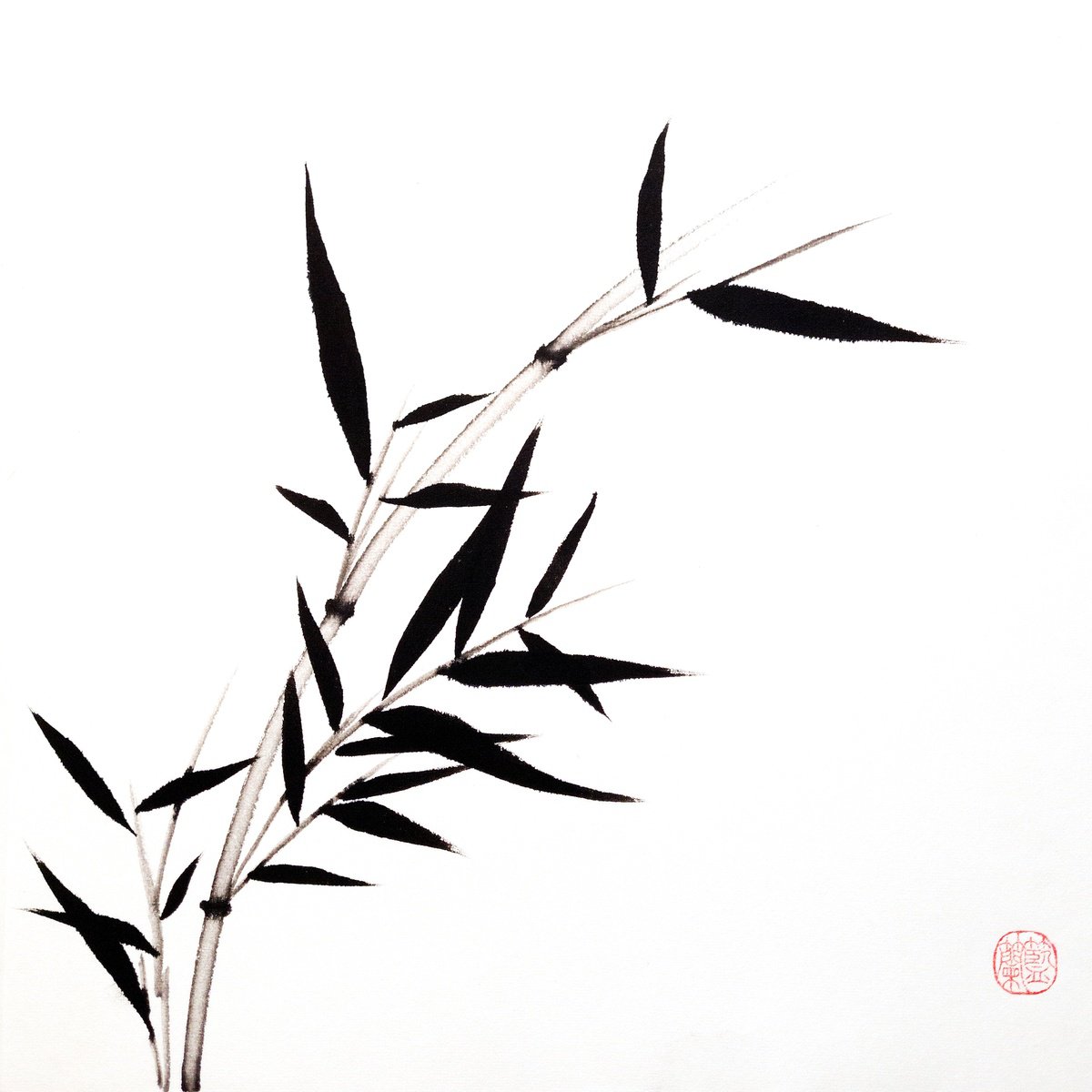 Impressionistic Botanical Ink Drawing By Ilana Shechter, 14 X 14, Young Sprig Of Bamboo, Original Artwork