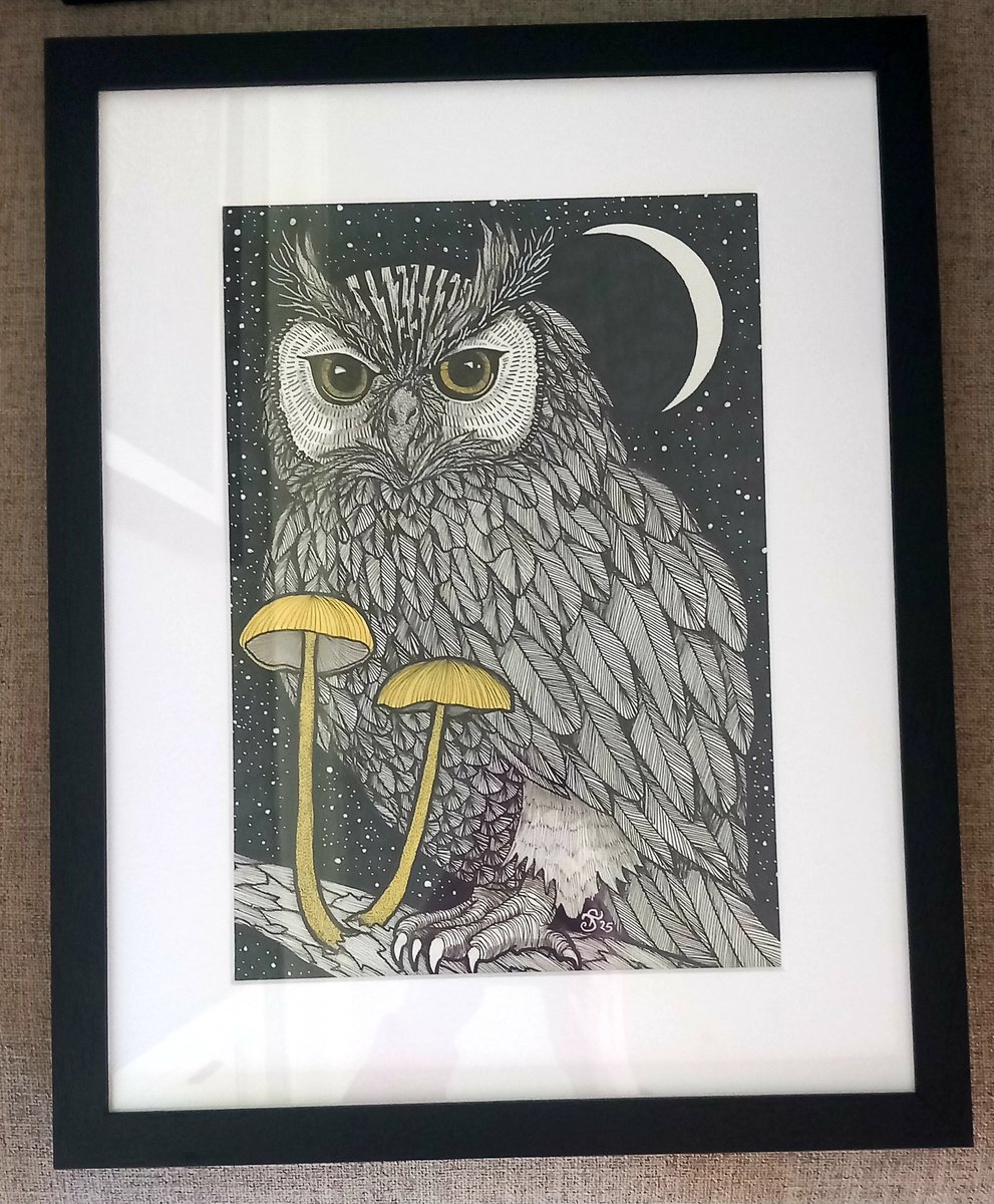 Illustrative Animal Ink Drawing By Terri Smith, 12 X 16", Night Owl, Original Artwork