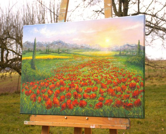 Serene poppy field