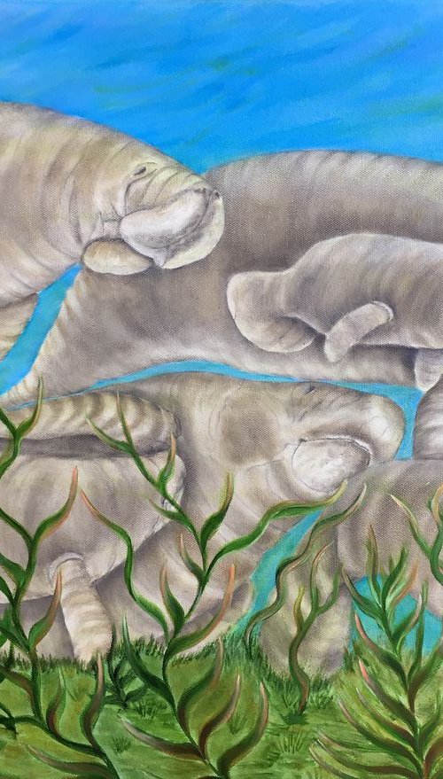 Manatee Herd by Renee  DiNapoli