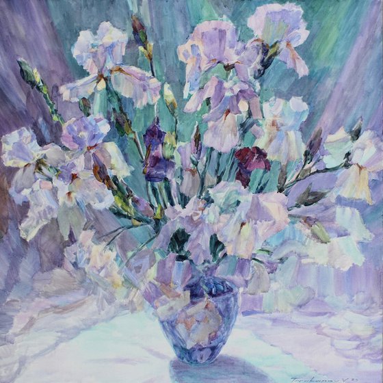 Irises from my garden