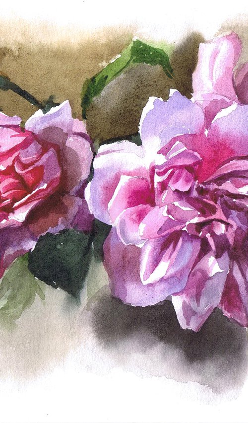 Watercolor pink peonies by Marta Nyrkova