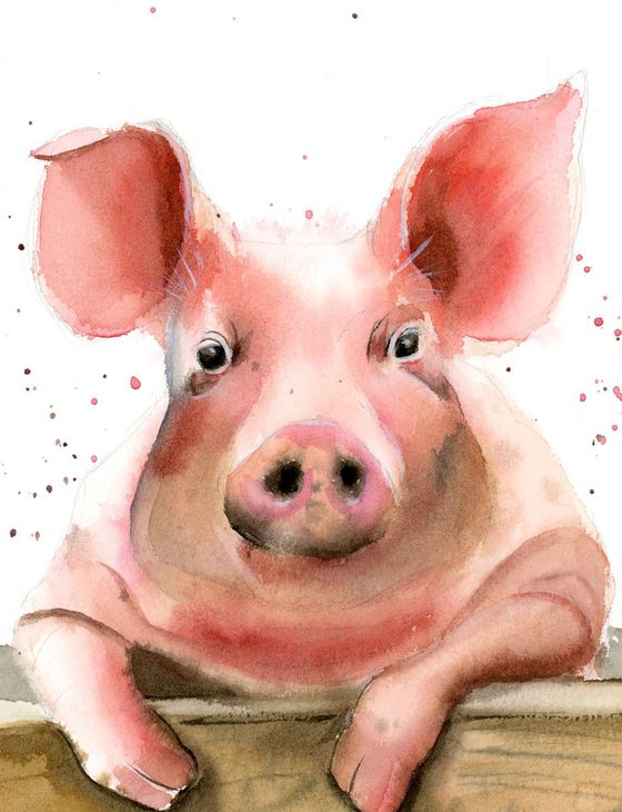 Pig portrait