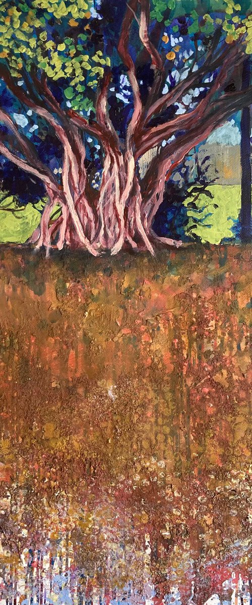 Old growth by John Cottee